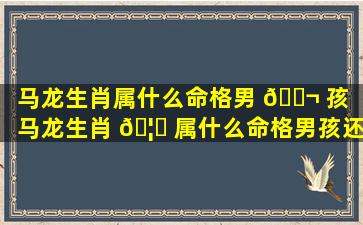 马龙生肖属什么命格男 🐬 孩（马龙生肖 🦍 属什么命格男孩还是女孩）